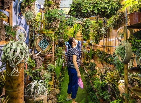 台北花市推薦 台北花市推薦