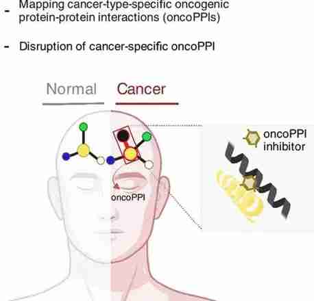 高溫烹飪致癌物質 高溫烹飪致癌物質