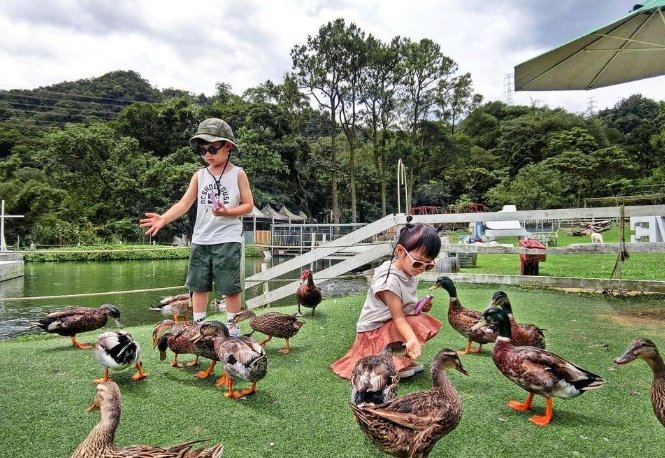桃園親子農場 桃園親子農場