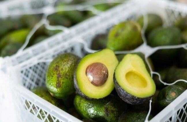 酪梨保鲜技巧 酪梨保鲜技巧