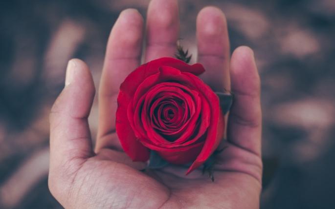 牡羊座追求方式