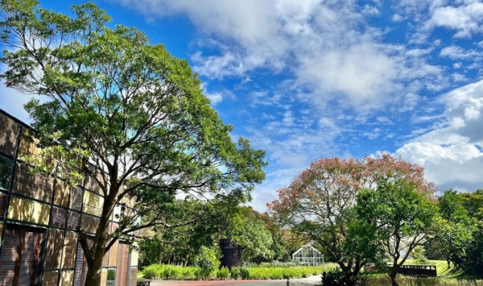 龜山區免費旅遊