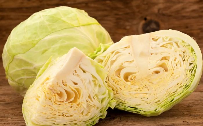 高麗菜軟化處理