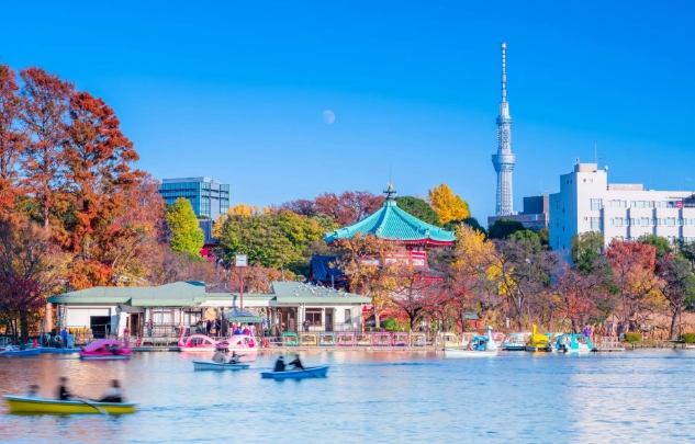 東京8天7夜行程