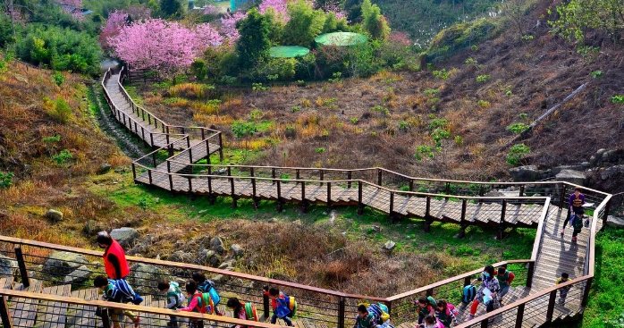 嘉義年輕人打卡景點