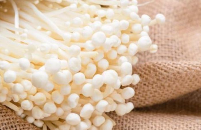 金針食用禁忌 金針食用禁忌