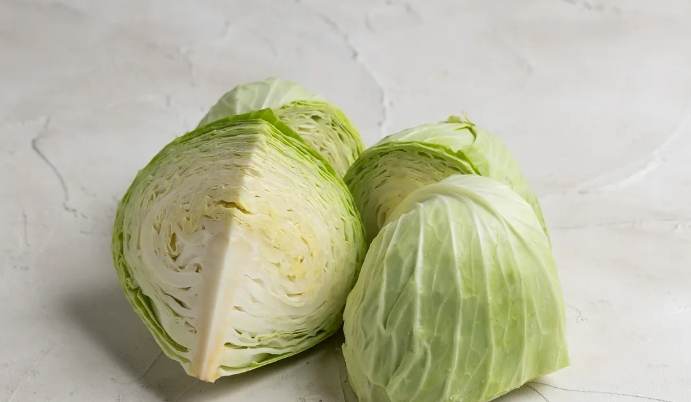 軟掉高麗菜食譜