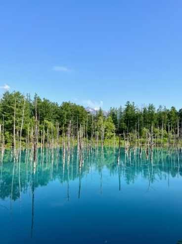 北海道夏天自駕