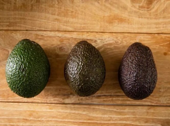 牛油果催熟方法