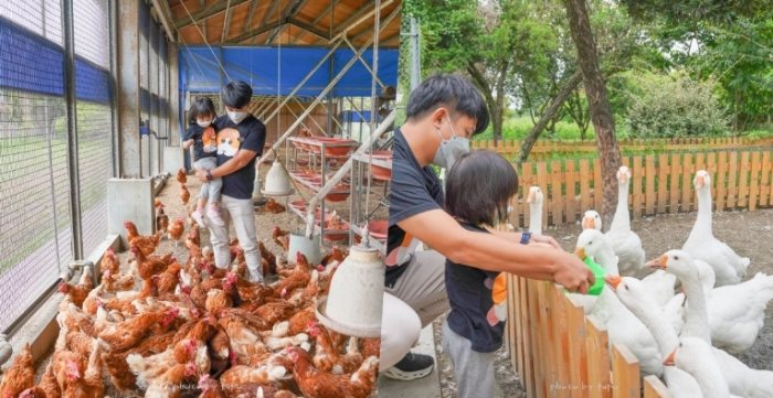 寵物友善農場活動