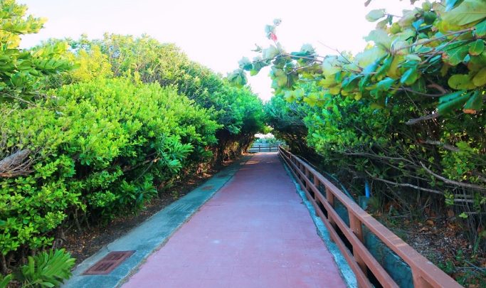 休閒農場露營推薦