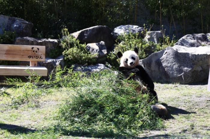 和歌山親子旅遊 和歌山親子旅遊