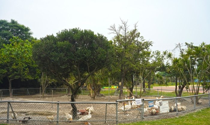 親子農場帶寵物