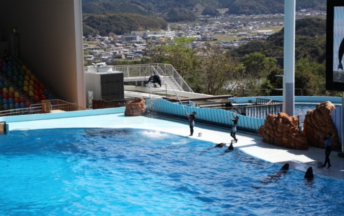 和歌山親子景點 和歌山親子景點