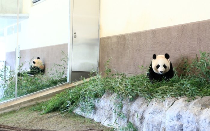 和歌山親子行程 和歌山親子行程