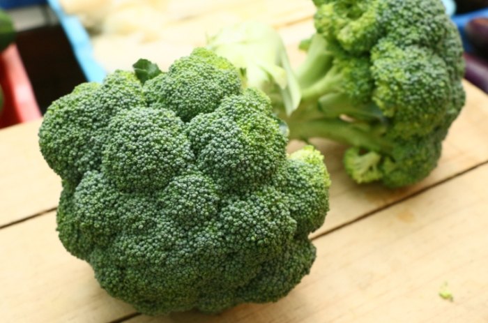 青花椰菜苗營養 青花椰菜苗營養