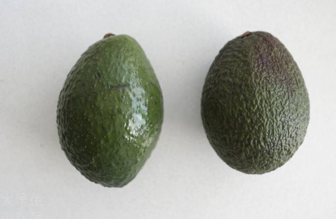 酪梨保鲜技巧