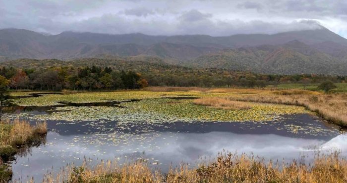 道東公共交通 道東公共交通