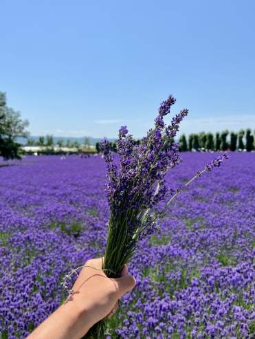 道東自駕遊攻略
