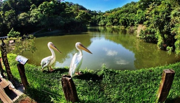 新竹農場一日遊 新竹農場一日遊