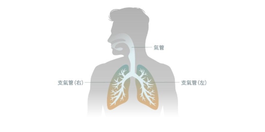 戒煙呼吸改善 戒煙呼吸改善