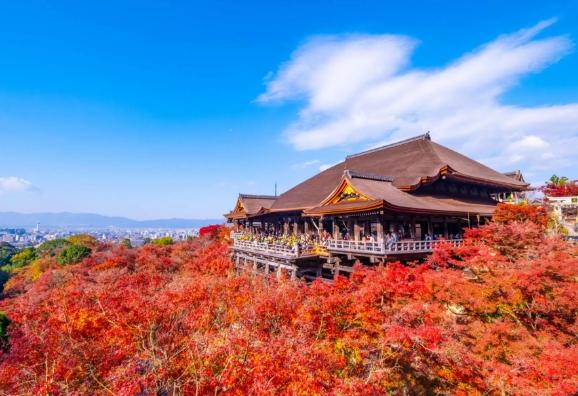 關西旅遊攻略 關西旅遊攻略