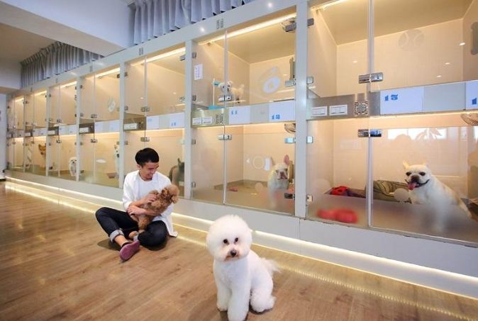 寵物寄宿價格比較