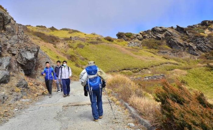 合歡山登山步道維護 合歡山登山步道維護