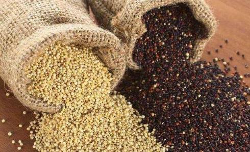 藜麦不能和什么同食