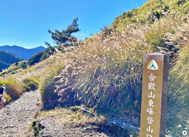 合歡山東峰難度 合歡山東峰難度