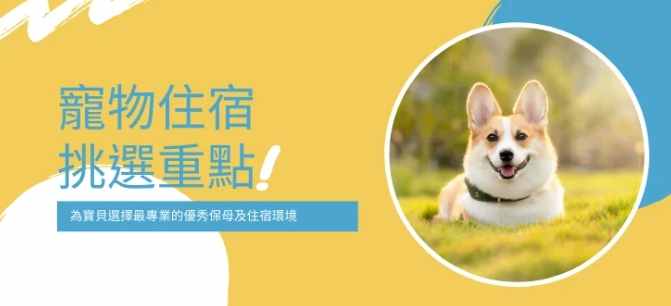 寵物寄宿價格比較