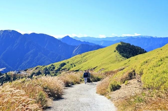 合歡山主峰徒步 合歡山主峰徒步