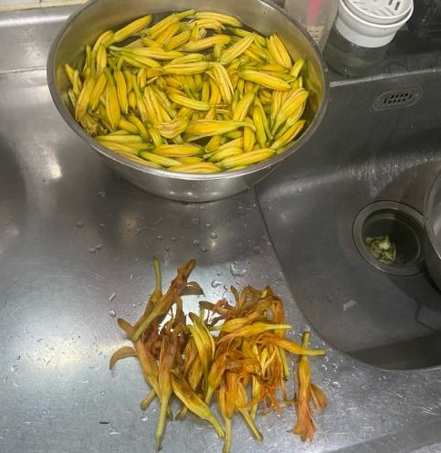 乾金針花保存 乾金針花保存