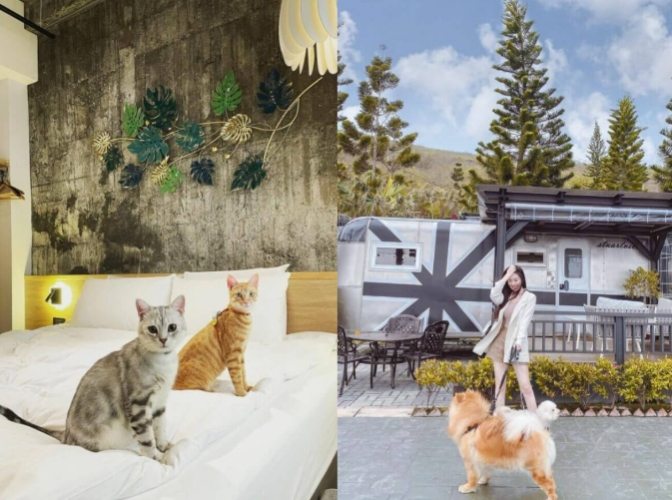 寵物友善旅館基隆 寵物友善旅館基隆