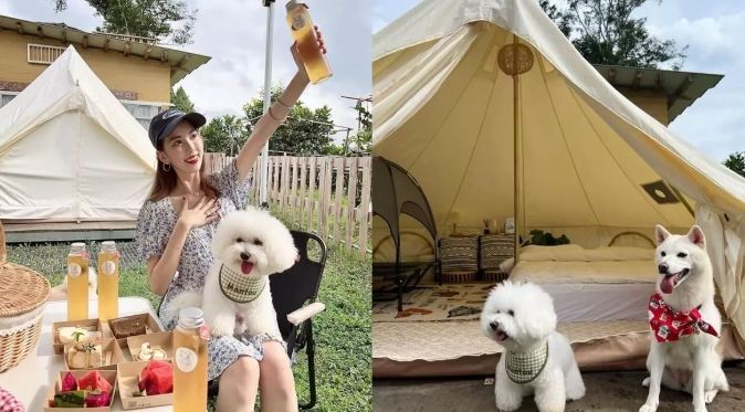 可帶寵物露營區推薦