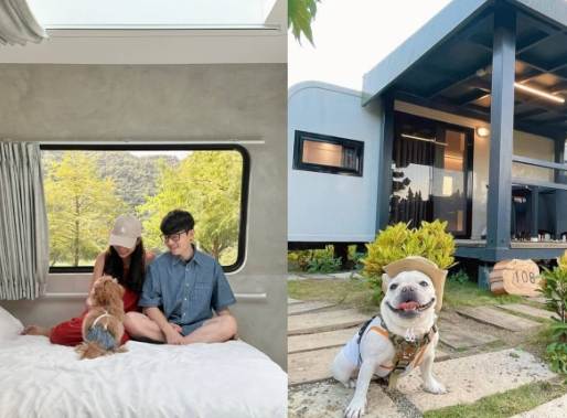 新北寵物友善民宿 新北寵物友善民宿