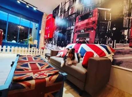 台中寵物旅館推薦