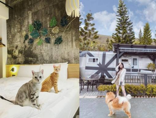 台北寵物友善飯店 台北寵物友善飯店