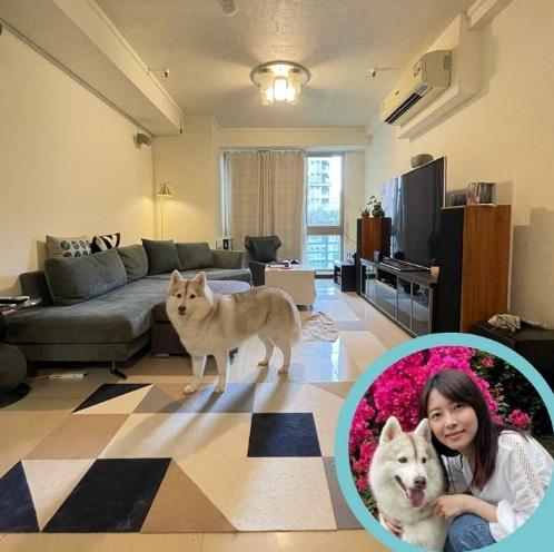 台北寵物友善飯店 台北寵物友善飯店