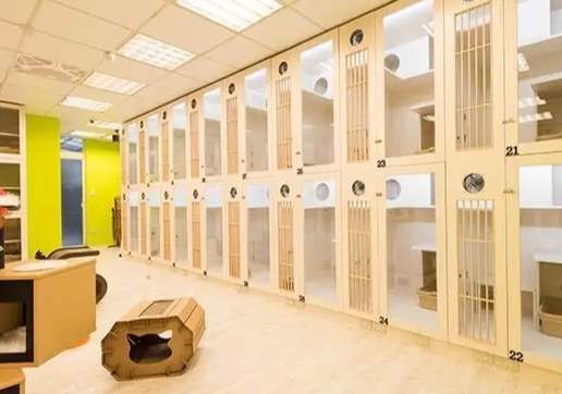 台中寵物旅館費用