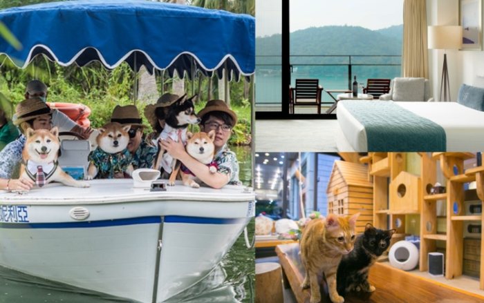 基隆帶寵物住宿 基隆帶寵物住宿