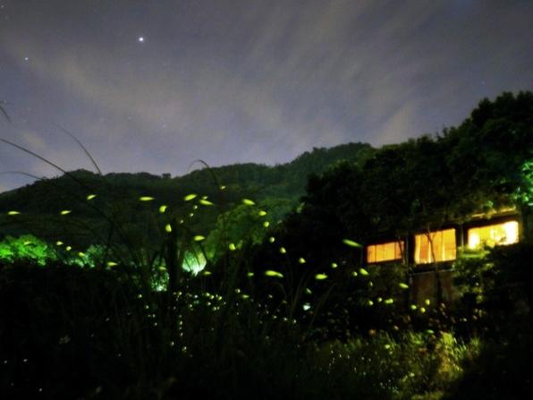 螢火蟲季節住宿