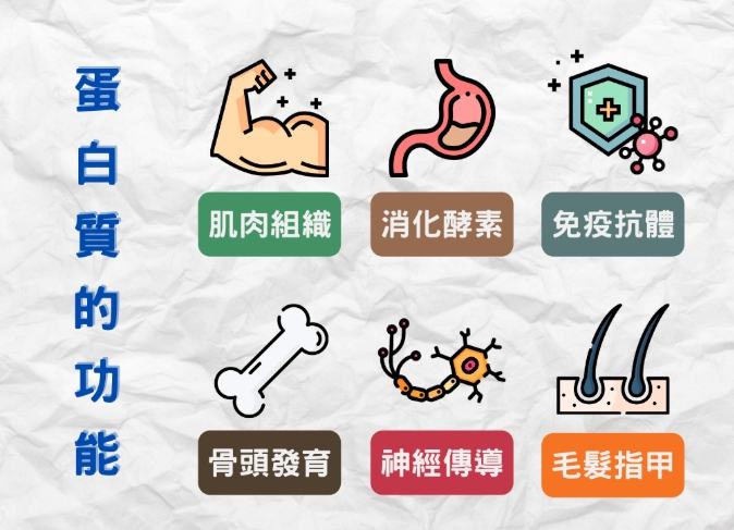 蛋白質變性結構