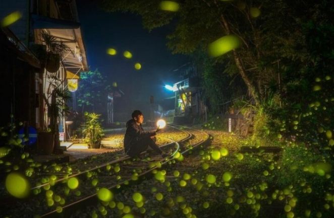 螢火蟲觀賞住宿