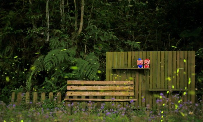 螢火蟲季節台北