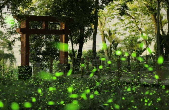 北部螢火蟲住宿 北部螢火蟲住宿