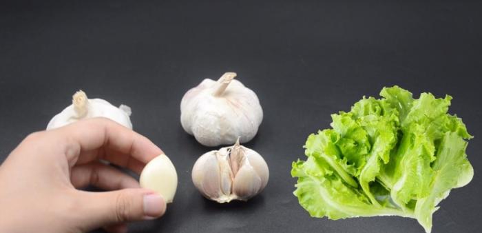 嘴巴一直有大蒜味