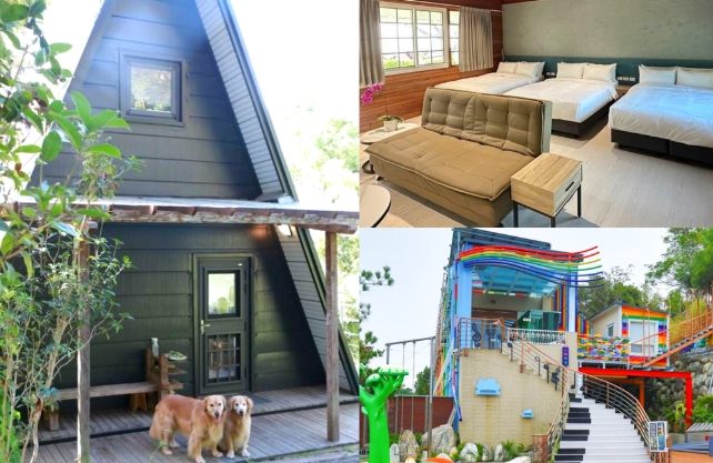 台中帶寵物住宿 台中帶寵物住宿