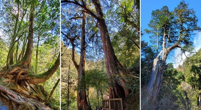 桃園旅遊攻略 桃園旅遊攻略