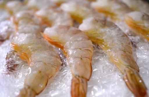 蝦子保存方法